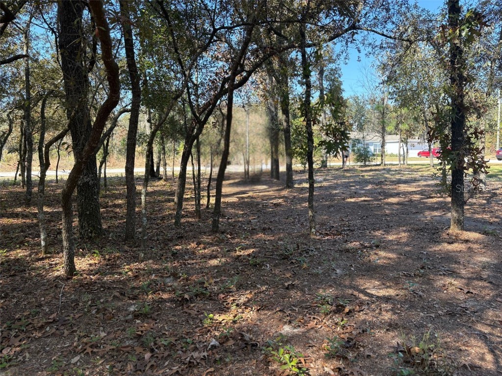 10079 N Ruth Terrace Citrus Springs FL 34434 OM713875 image4