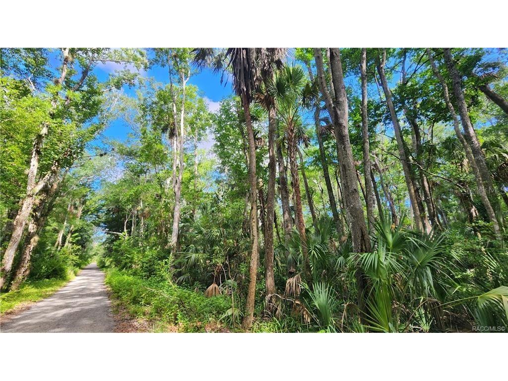 10079 W Fayette Street Homosassa FL 34448 U8223351 image1