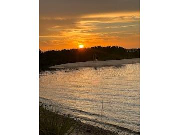 1008 Apollo Beach Boulevard #201 Apollo Beach FL 33572 - TAMPA BAY! TB8512343 image37