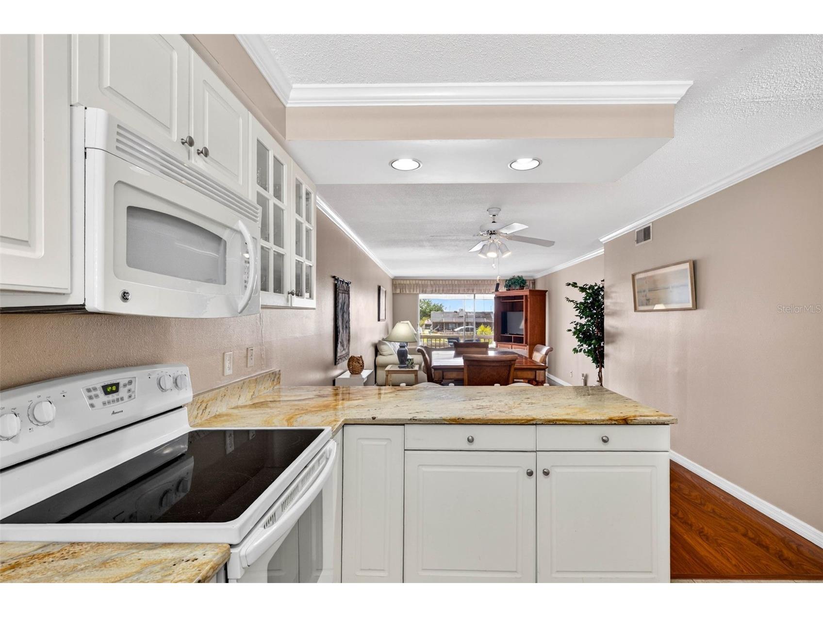 1008 Apollo Beach Boulevard #206 Apollo Beach FL 33572 TB8508110 image11