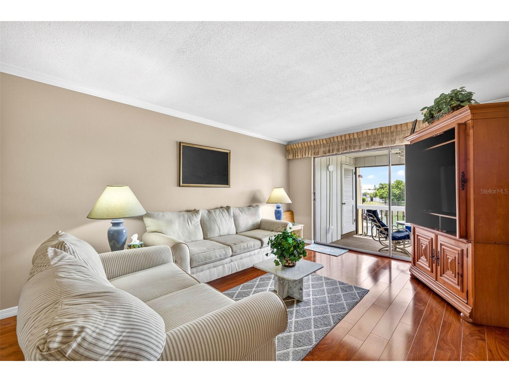 1008 Apollo Beach Boulevard #206 Apollo Beach FL 33572 TB8508110 image16