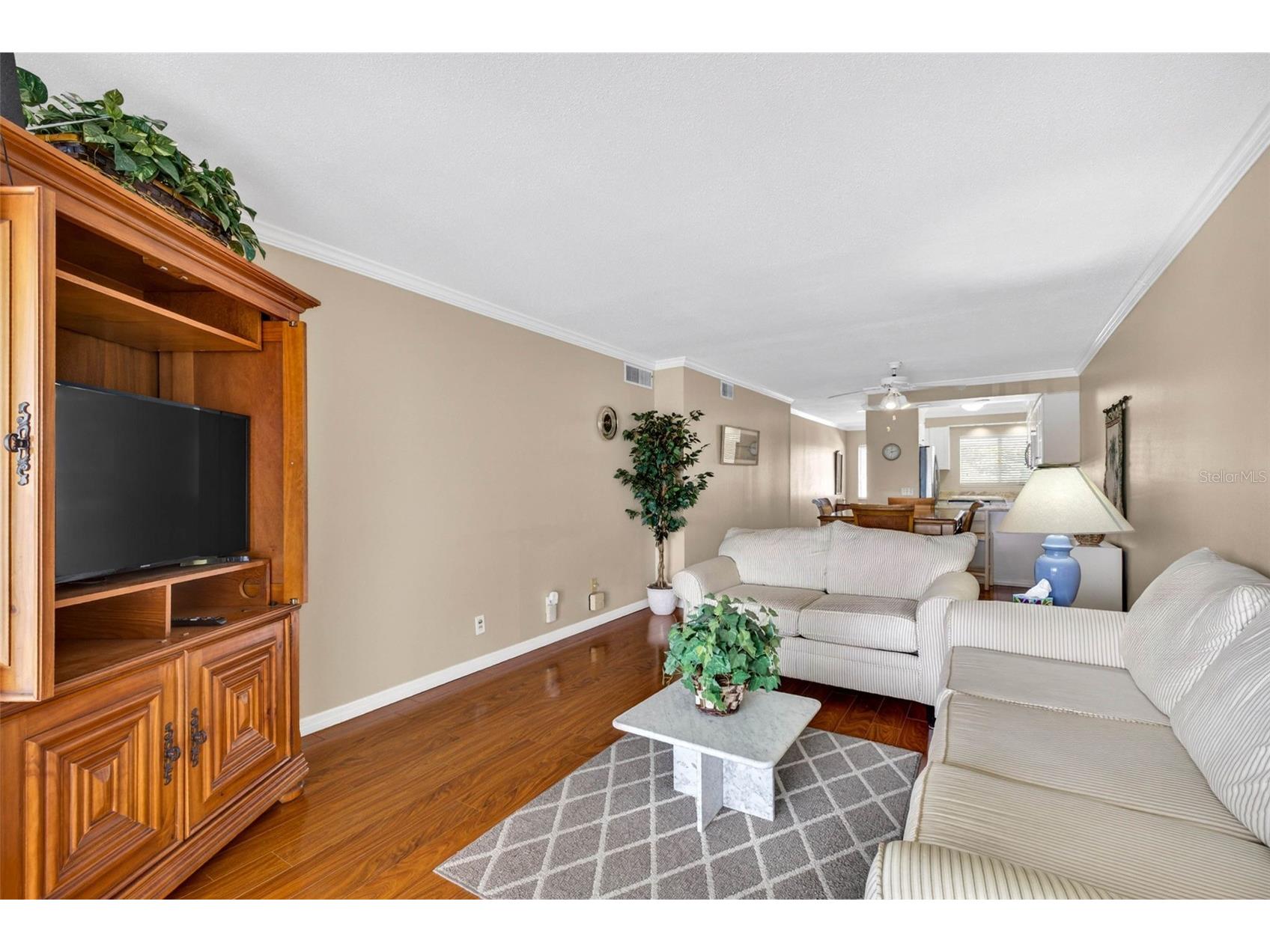 1008 Apollo Beach Boulevard #206 Apollo Beach FL 33572 TB8508110 image19