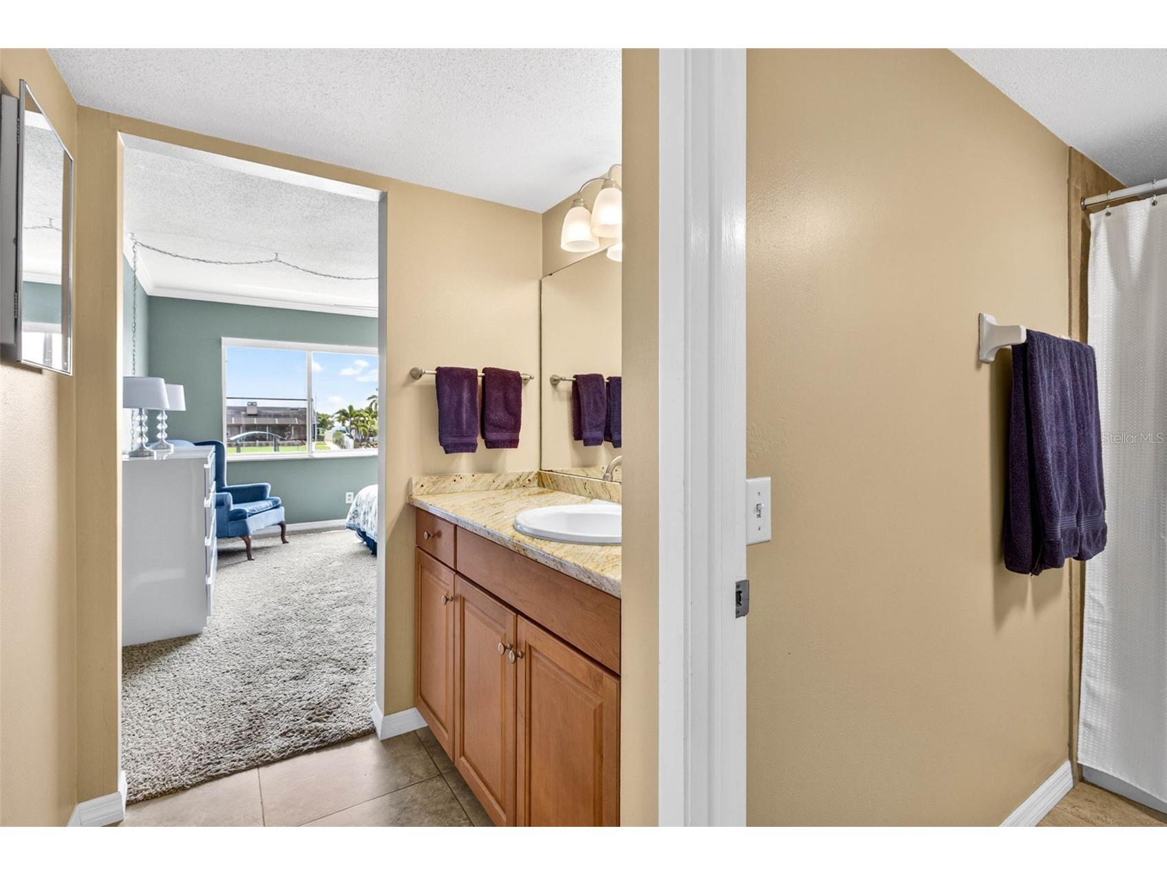 1008 Apollo Beach Boulevard #206 Apollo Beach FL 33572 TB8508110 image29