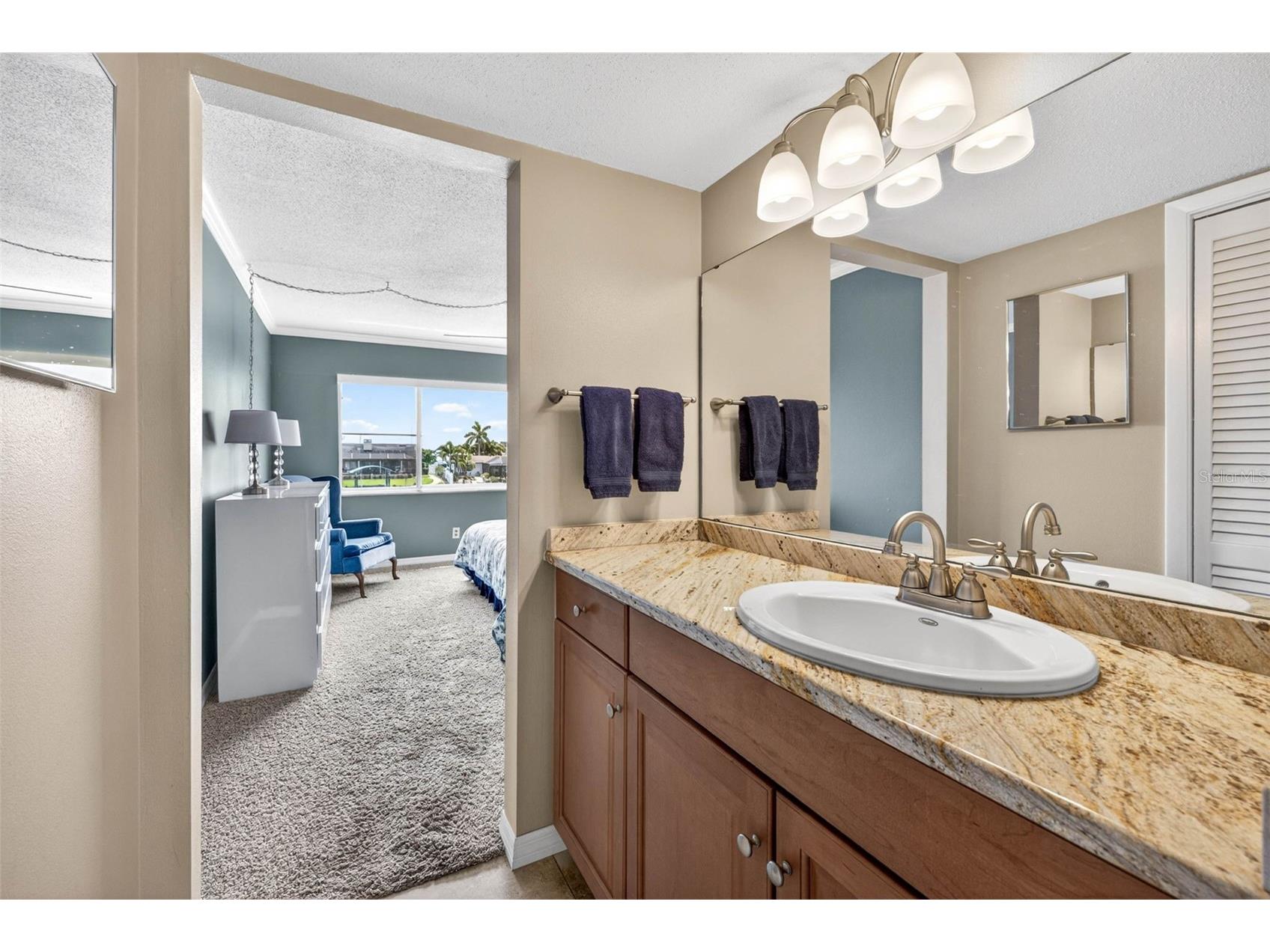 1008 Apollo Beach Boulevard #206 Apollo Beach FL 33572 TB8508110 image32