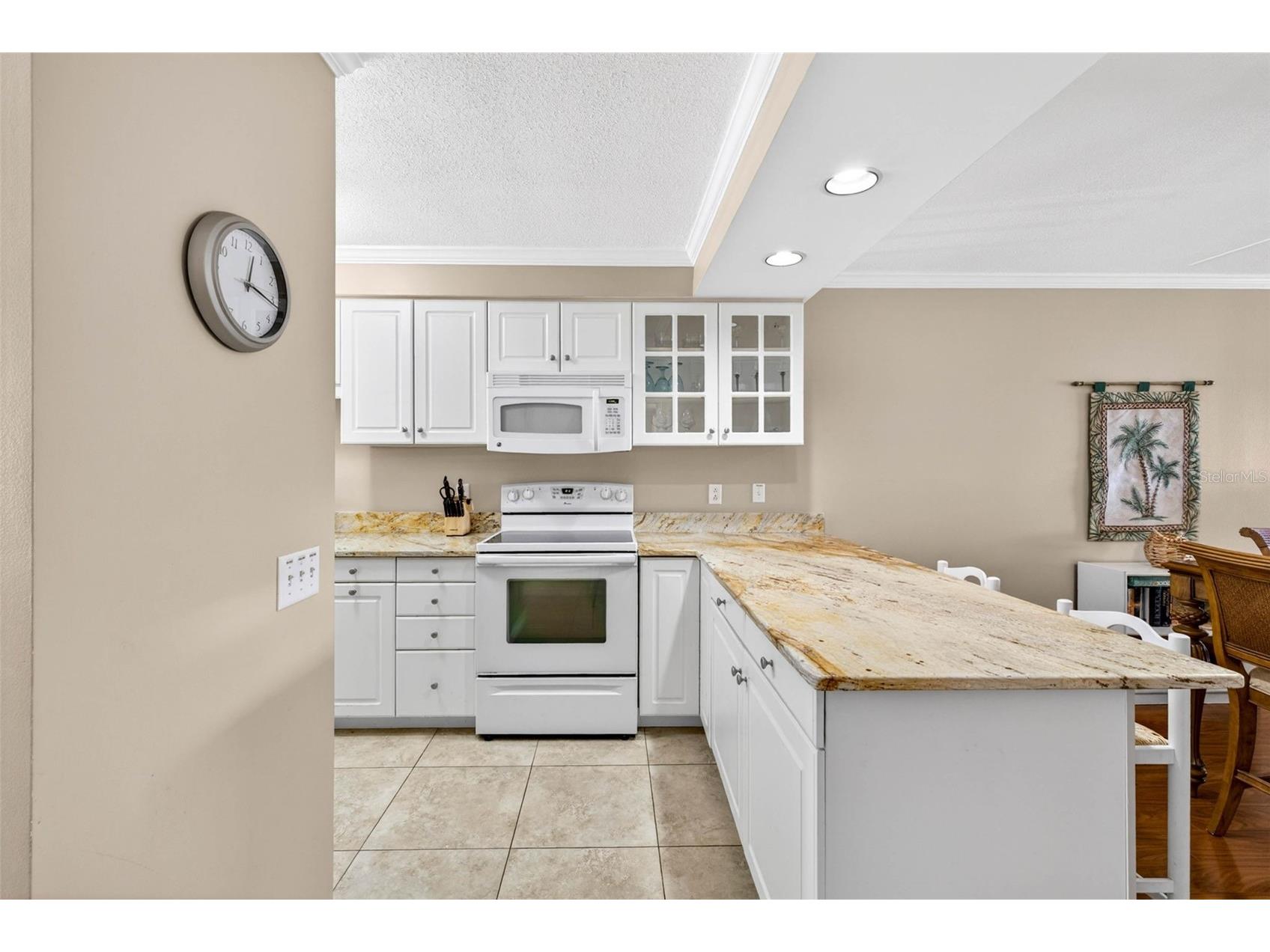 1008 Apollo Beach Boulevard #206 Apollo Beach FL 33572 TB8508110 image7