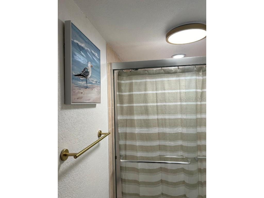 1008 Apollo Beach Boulevard #210 Apollo Beach FL 33572 O6341603 image15