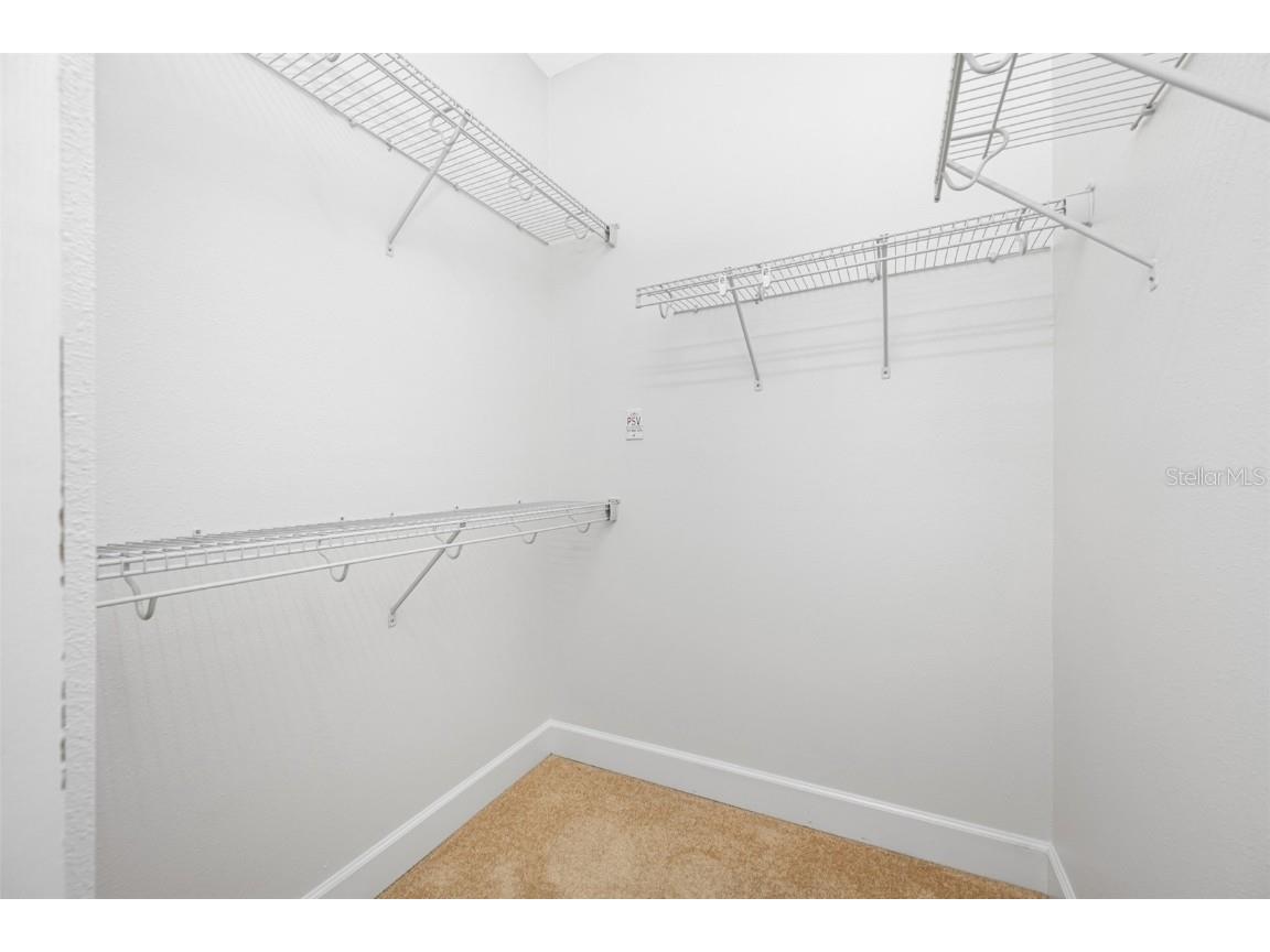 1008 Blue Heron Way Tarpon Springs FL 34689 U8254338 image31