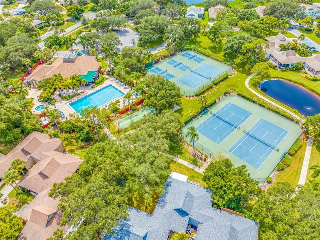 1008 Blue Heron Way Tarpon Springs FL 34689 U8254338 image5