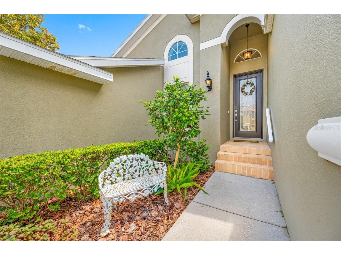 1008 Blue Heron Way Tarpon Springs FL 34689 U8254338 image53