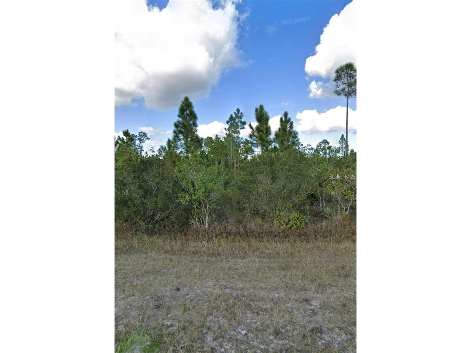 1008 Calliandra Drive Indian Lake Estates FL 33855 S5146435 image9
