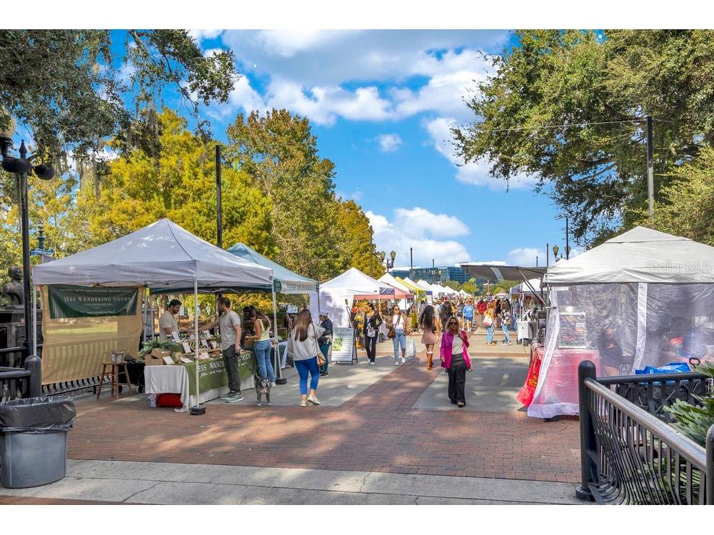 1008 E Robinson Orlando FL 32801 O6378954 image40