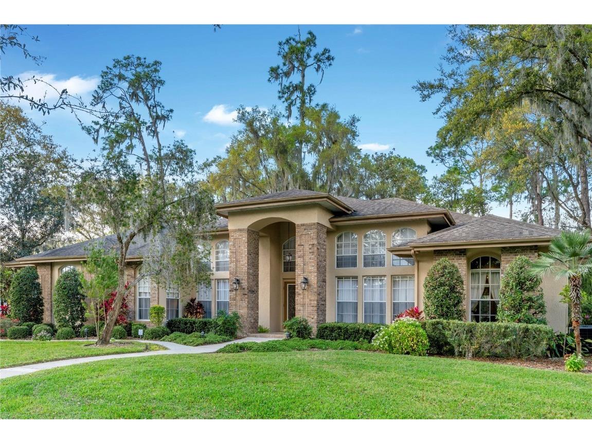 1008 Emerald Creek Drive Valrico FL 33596 T3508317 image1