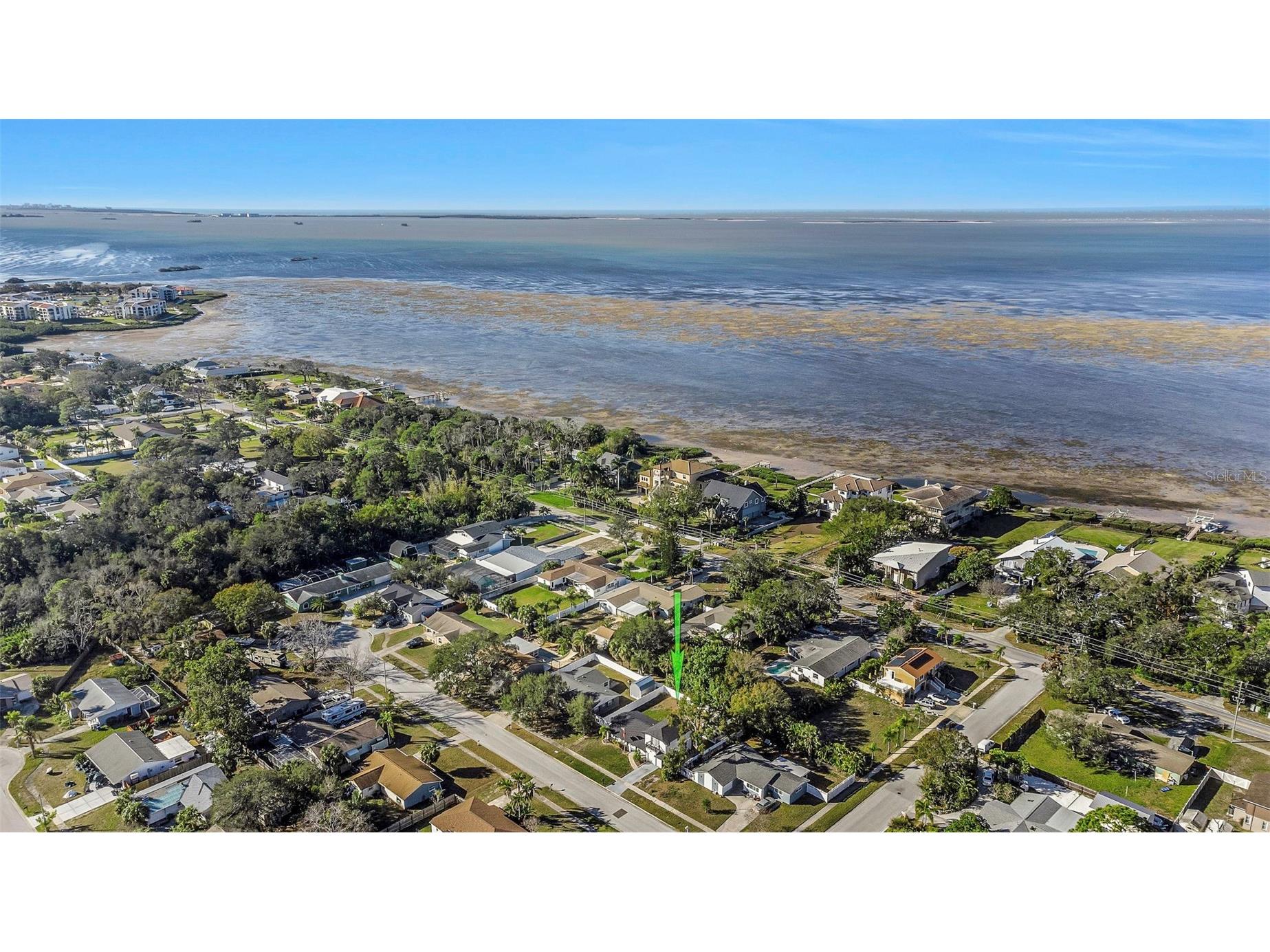 1008 Greenleaf Way Tarpon Springs FL 34689 TB8469715 image45