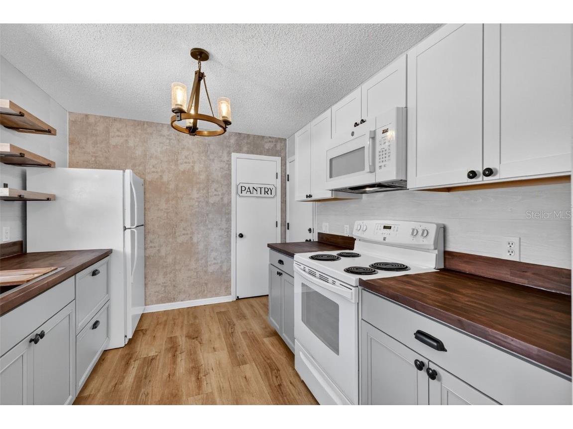 1008 Laredo Lane The Villages FL 32159 G5104370 image8