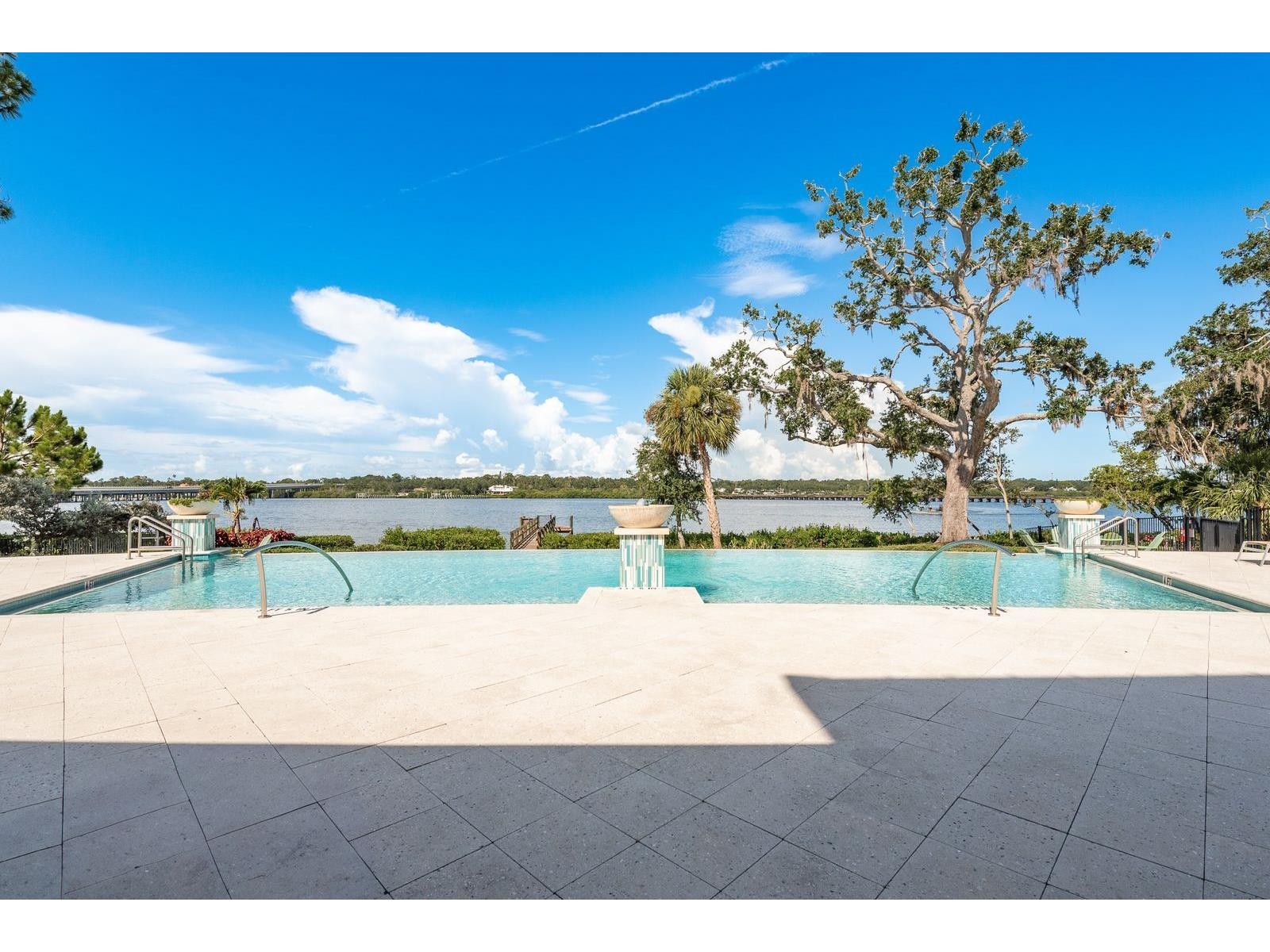 1008 Mango Court Oldsmar FL 34677 TB8487471 image49