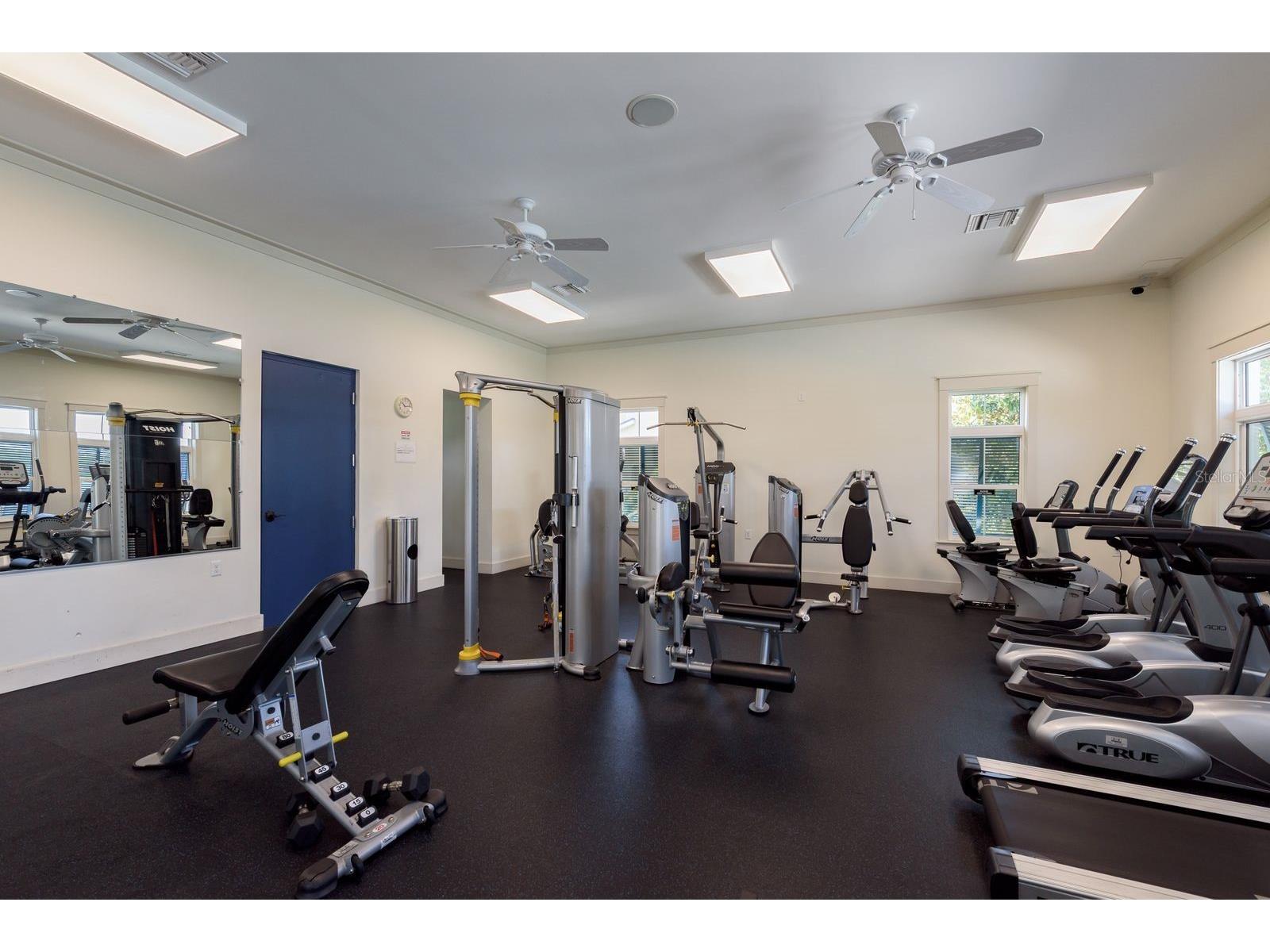 1008 Mango Court Oldsmar FL 34677 TB8487471 image53