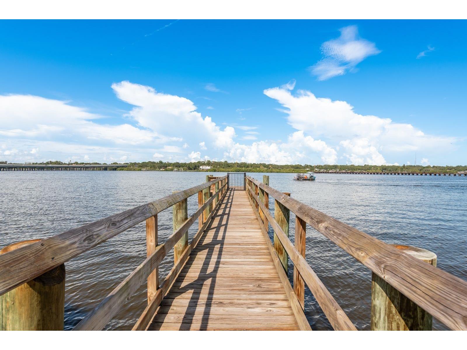1008 Mango Court Oldsmar FL 34677 TB8487471 image56