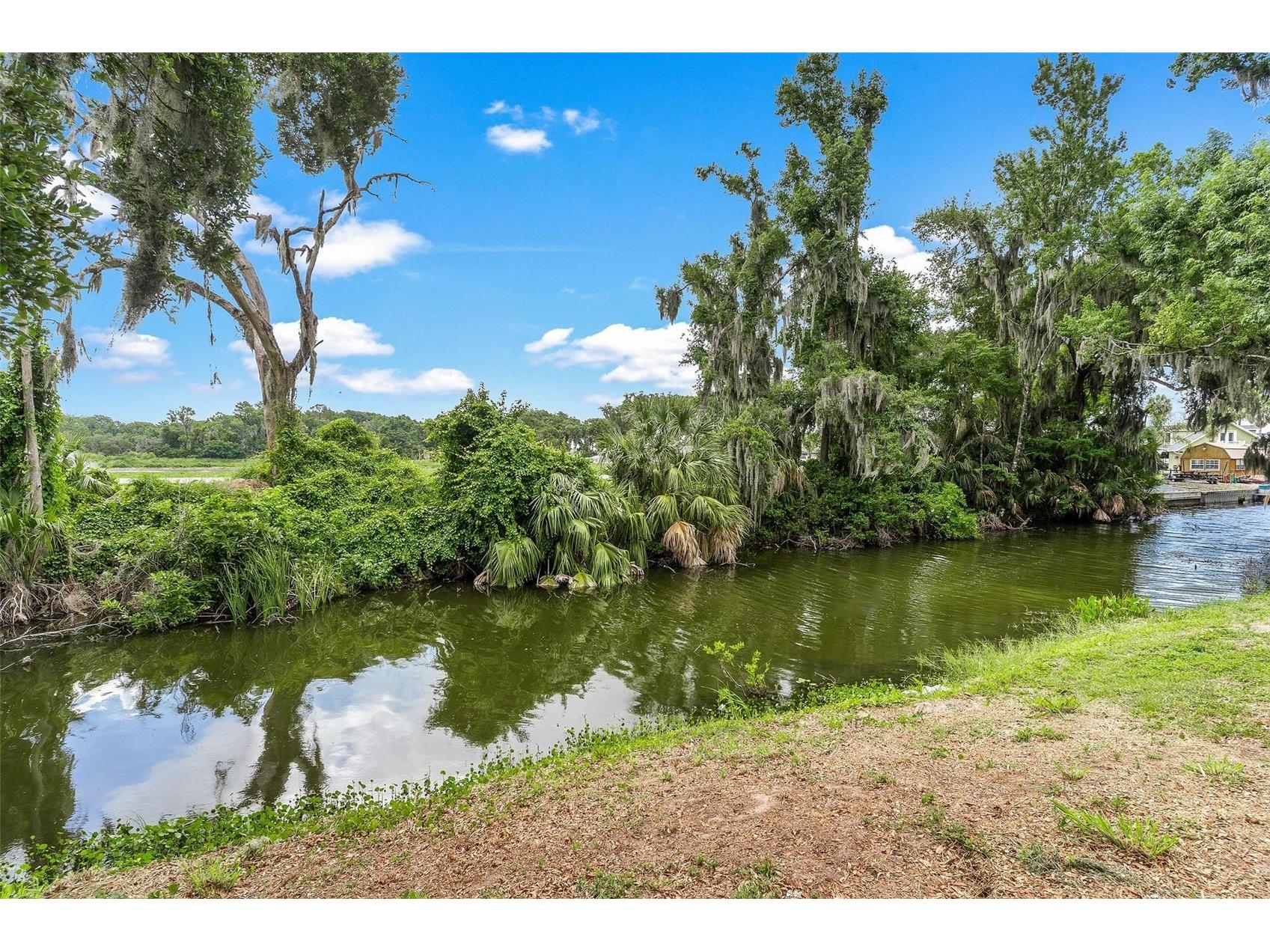 1008 Monterey Drive Leesburg FL 34748 - LAKE HARRIS G5112870 image46