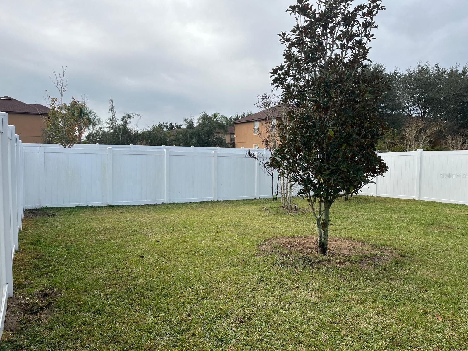 1008 Papaya Circle Davenport FL 33897 O6369951 image49