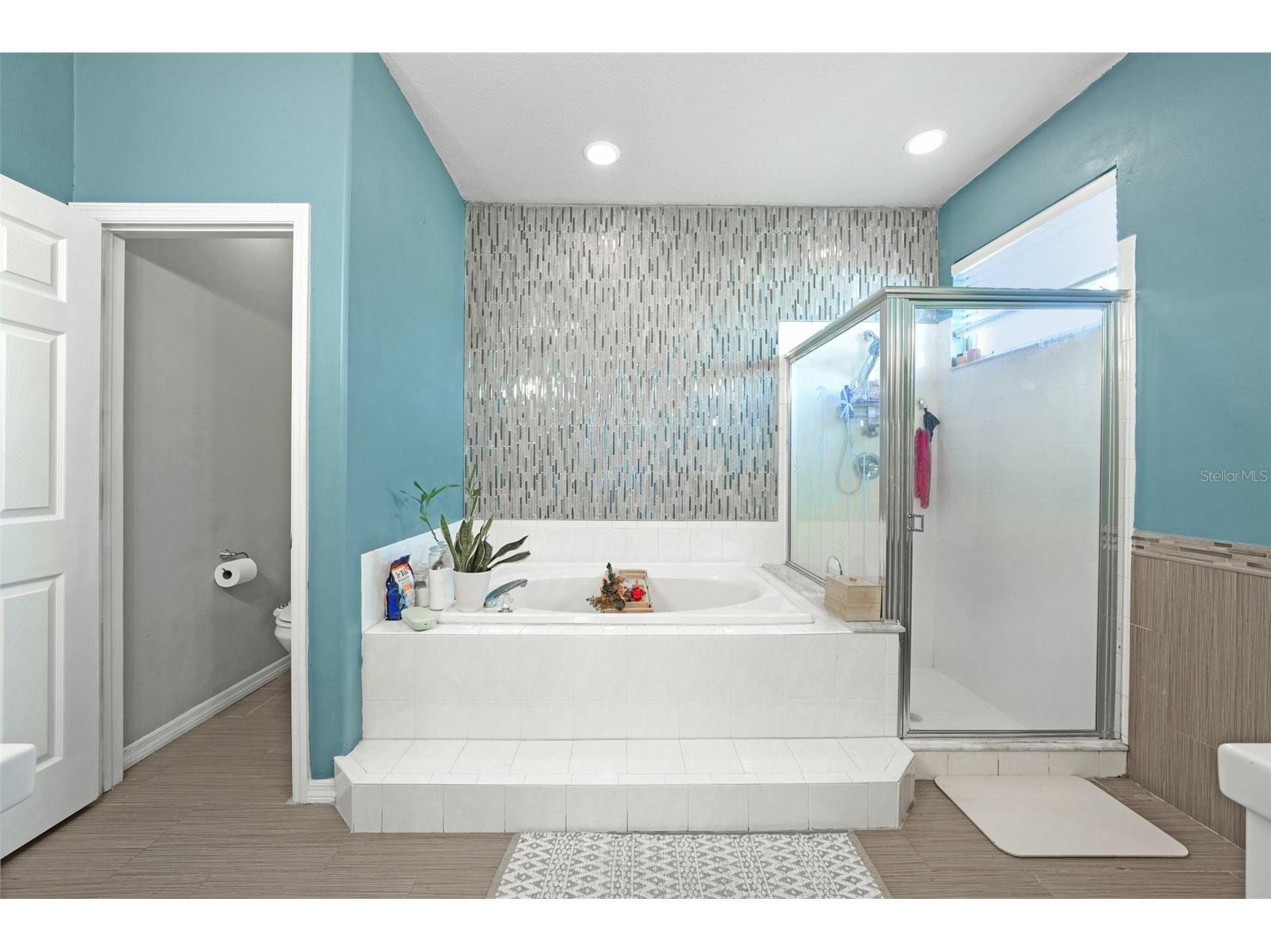 1008 Robinwood Drive Oldsmar FL 34677 TB8516701 image23