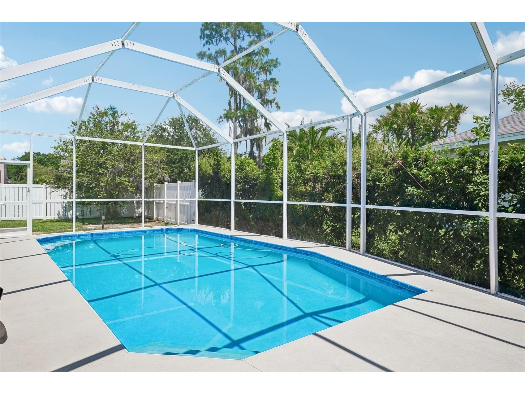 1008 Robinwood Drive Oldsmar FL 34677 TB8516701 image40