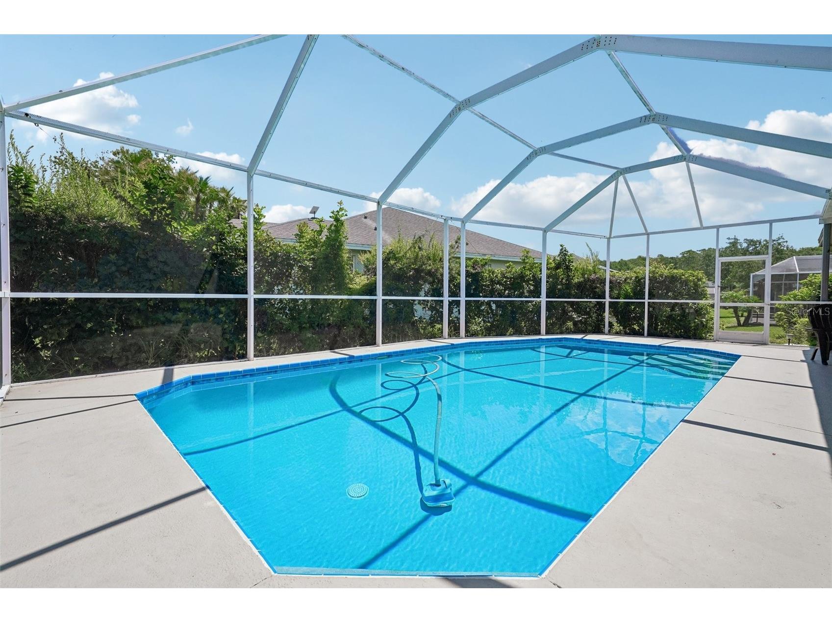 1008 Robinwood Drive Oldsmar FL 34677 TB8516701 image42