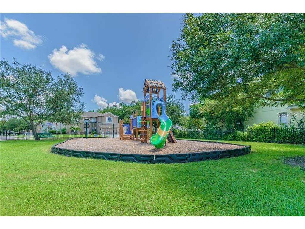 1008 Robinwood Drive Oldsmar FL 34677 TB8516701 image44