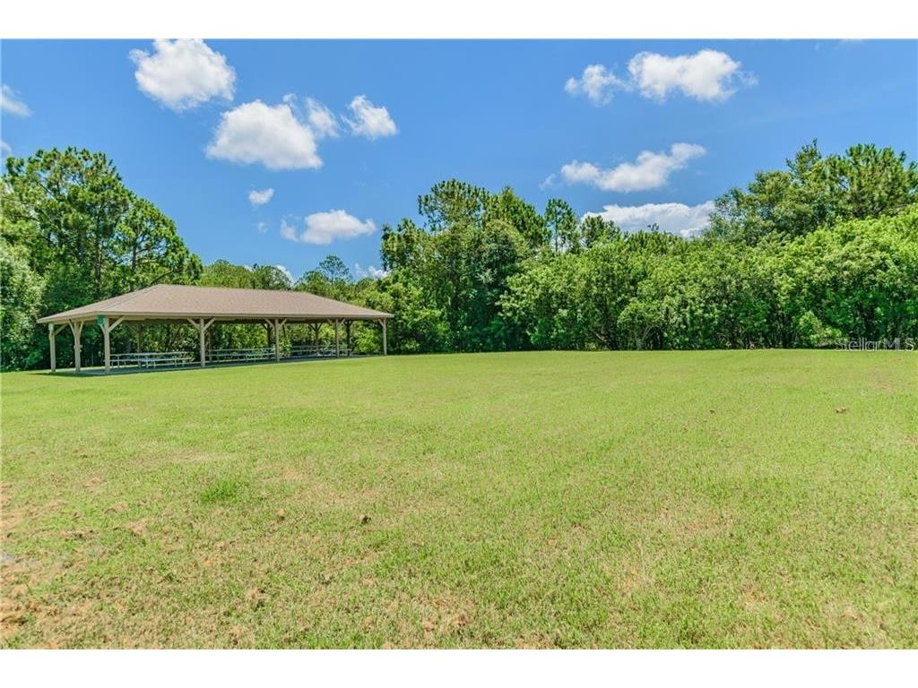 1008 Robinwood Drive Oldsmar FL 34677 TB8516701 image46