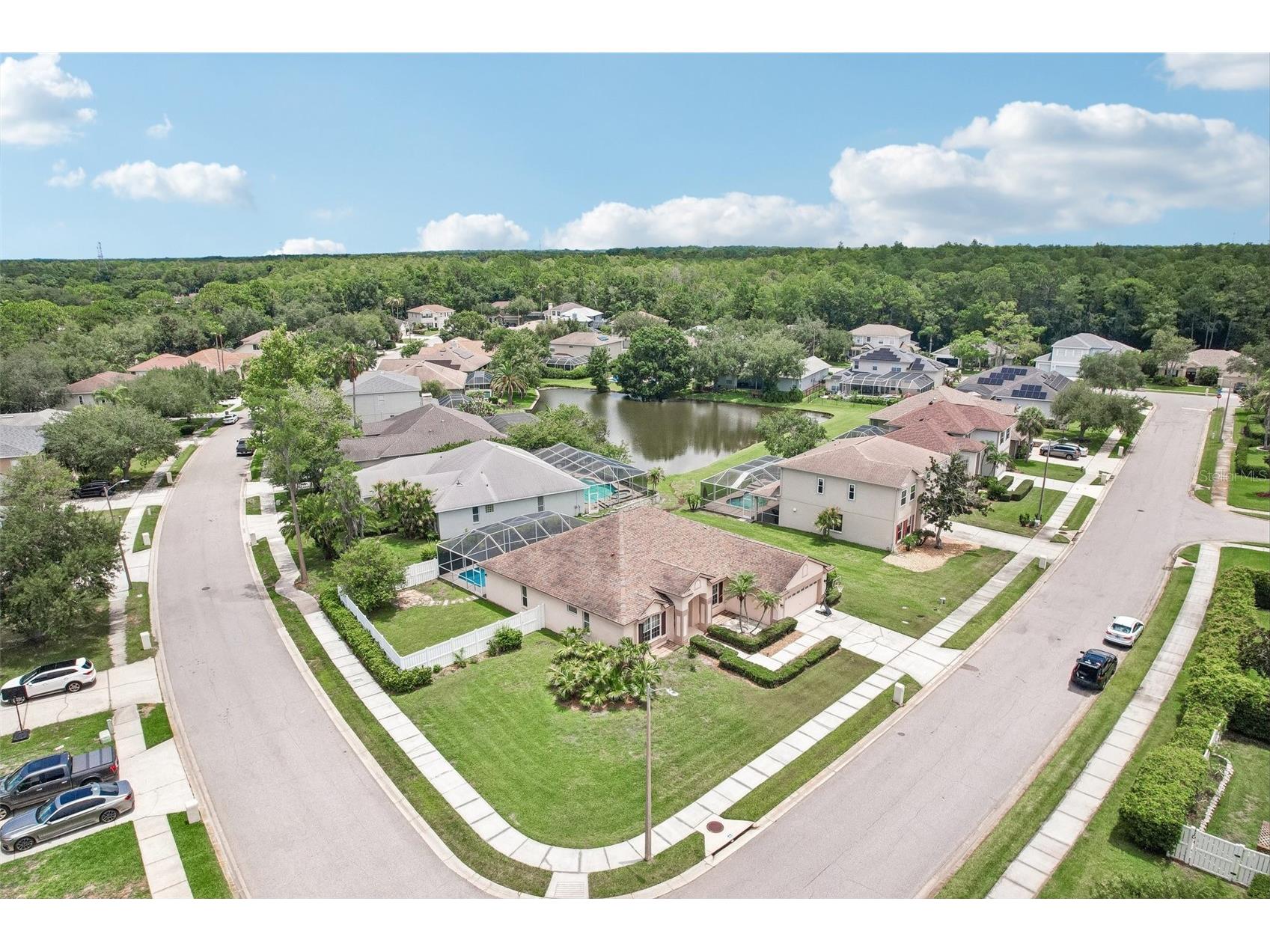 1008 Robinwood Drive Oldsmar FL 34677 TB8516701 image48
