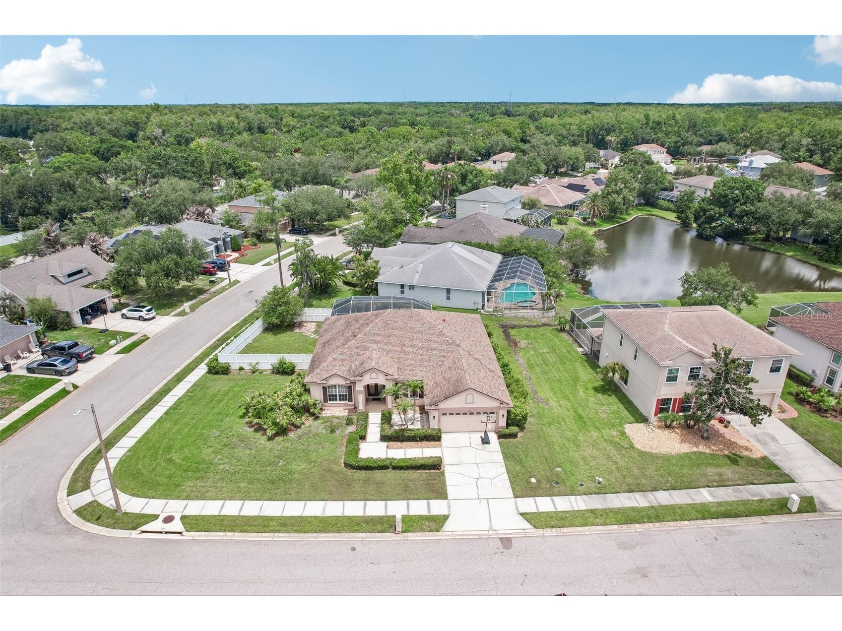 1008 Robinwood Drive Oldsmar FL 34677 TB8516701 image49