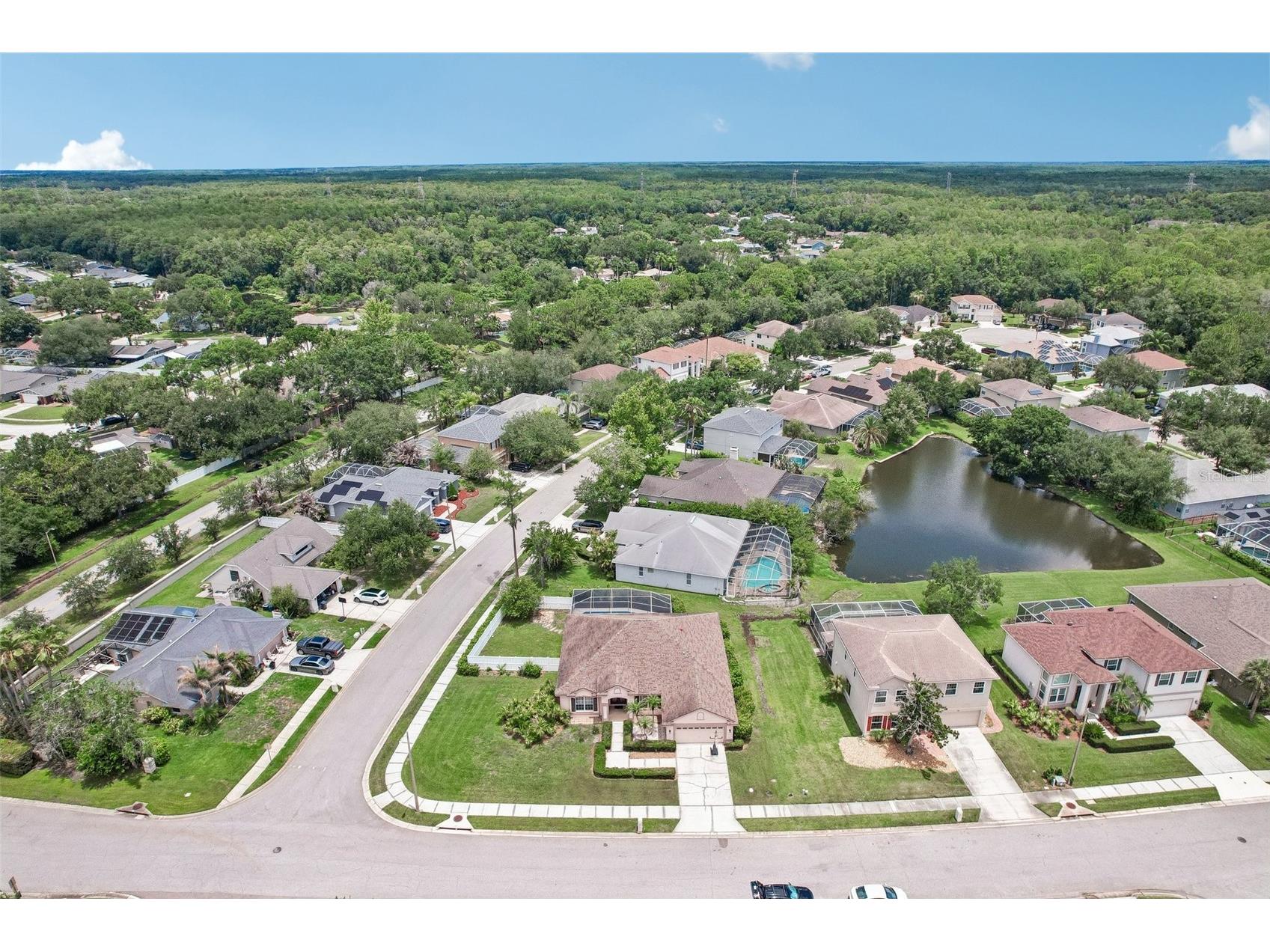 1008 Robinwood Drive Oldsmar FL 34677 TB8516701 image50