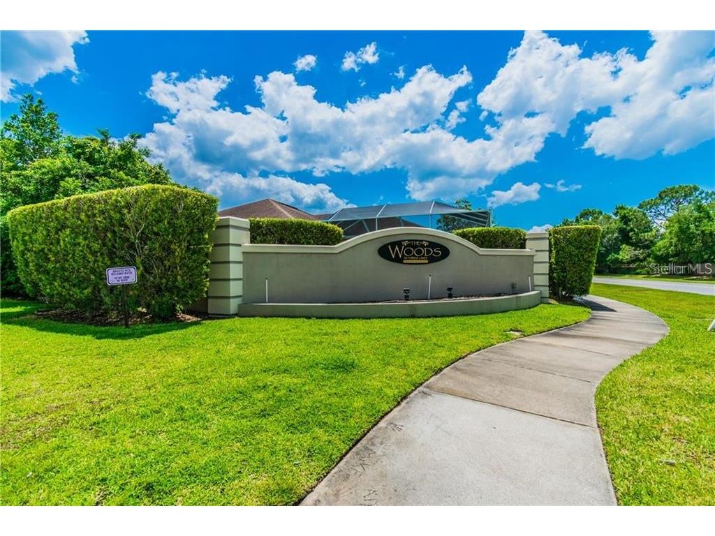 1008 Robinwood Drive Oldsmar FL 34677 TB8516701 image53