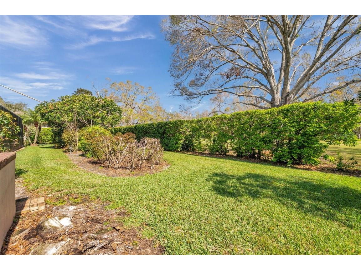 1008 Royal Birkdale Drive Tarpon Springs FL 34688 TB8353879 image26