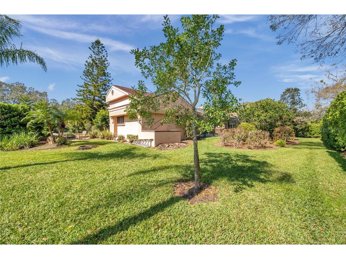 1008 Royal Birkdale Drive Tarpon Springs FL 34688 TB8353879 image27