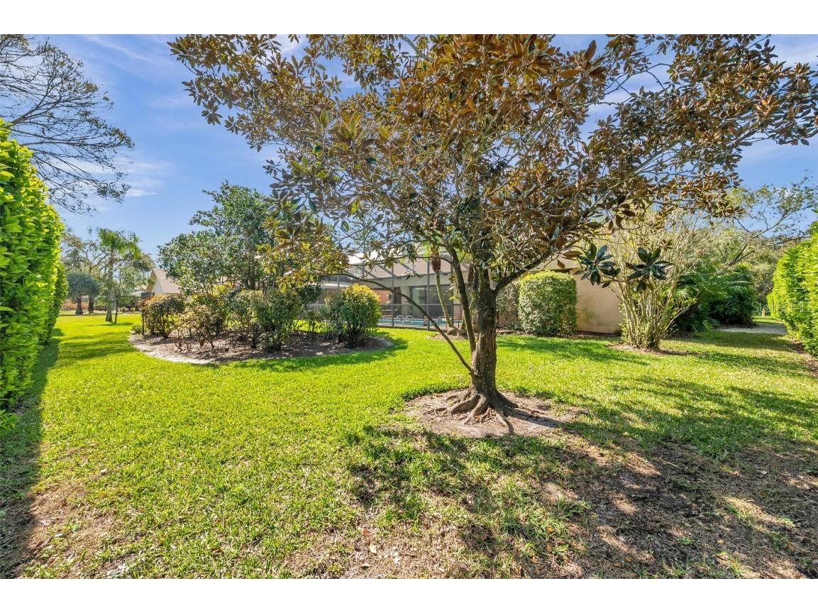 1008 Royal Birkdale Drive Tarpon Springs FL 34688 TB8353879 image28