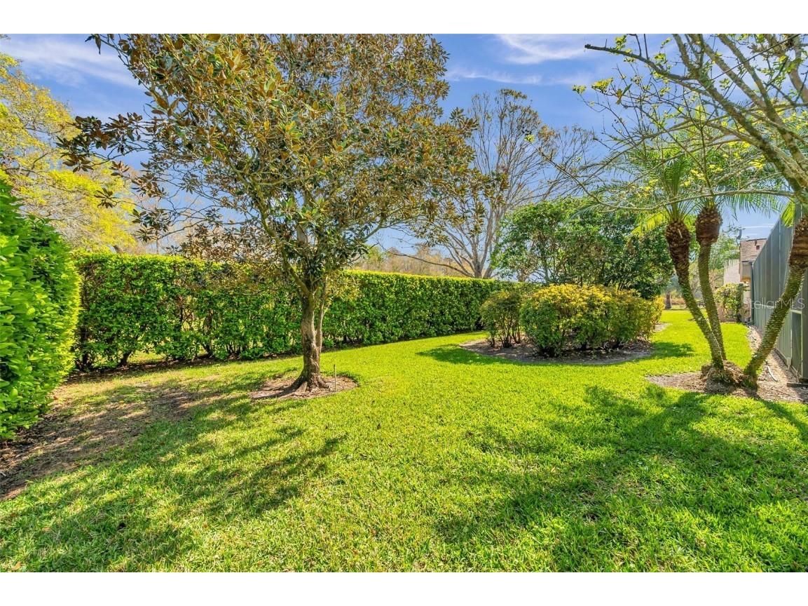 1008 Royal Birkdale Drive Tarpon Springs FL 34688 TB8353879 image29