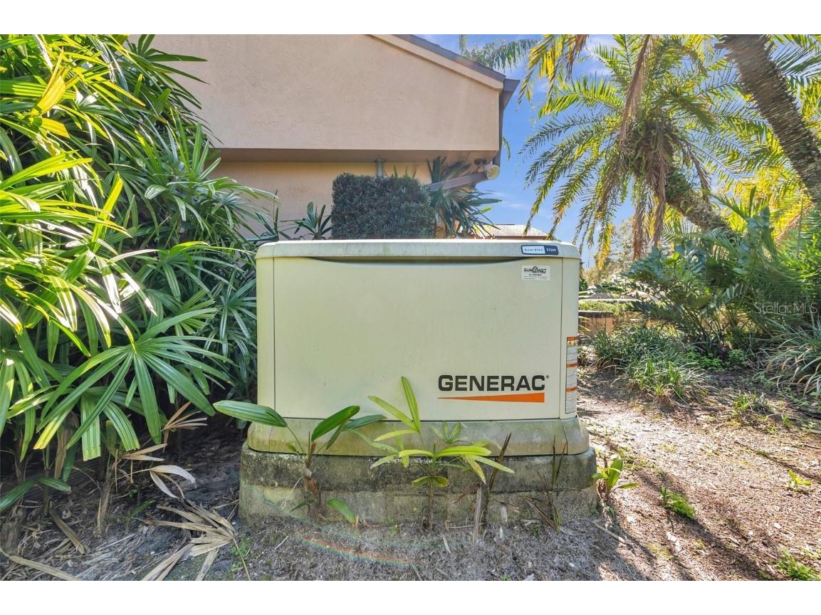 1008 Royal Birkdale Drive Tarpon Springs FL 34688 TB8353879 image32