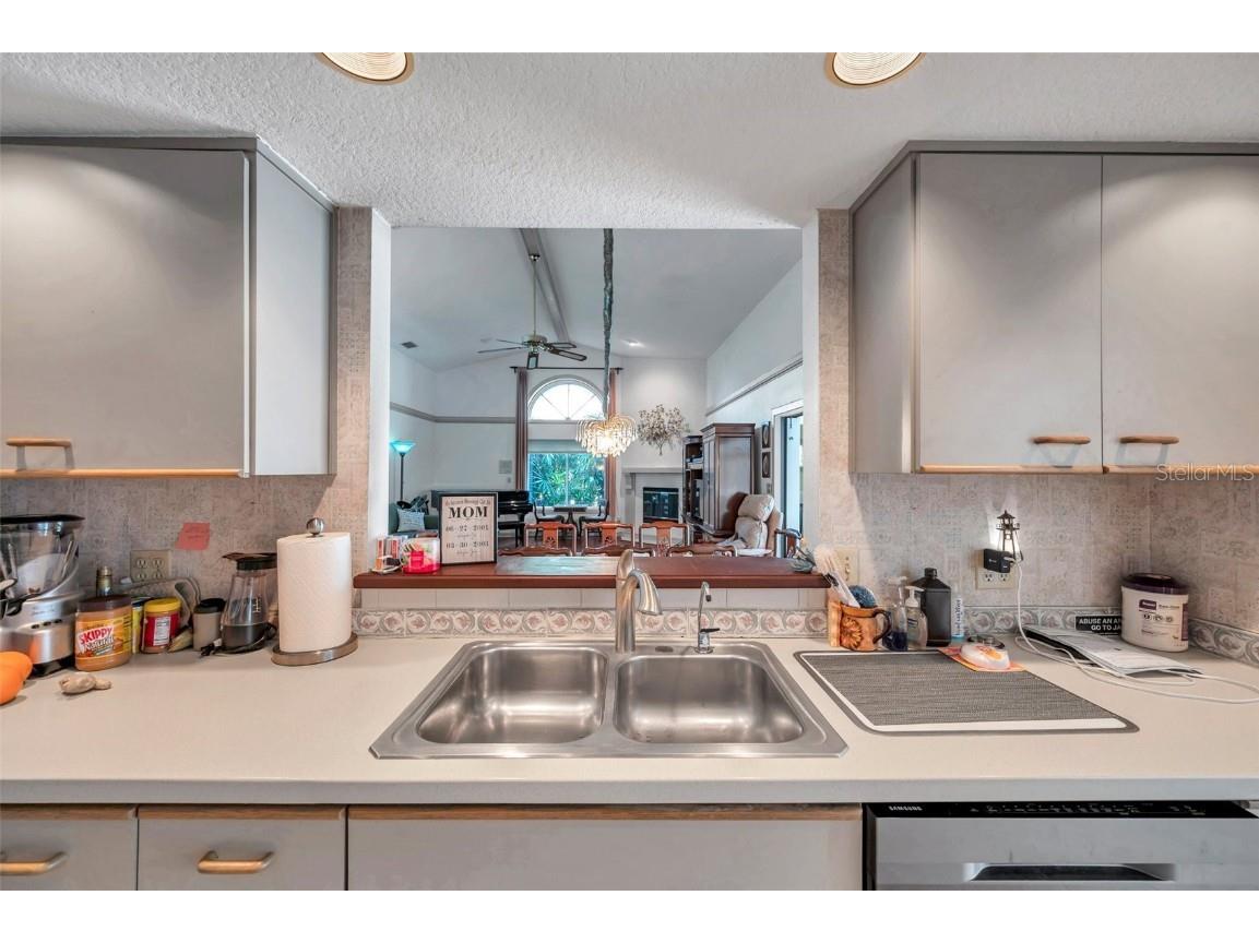 1008 Royal Birkdale Drive Tarpon Springs FL 34688 TB8353879 image50