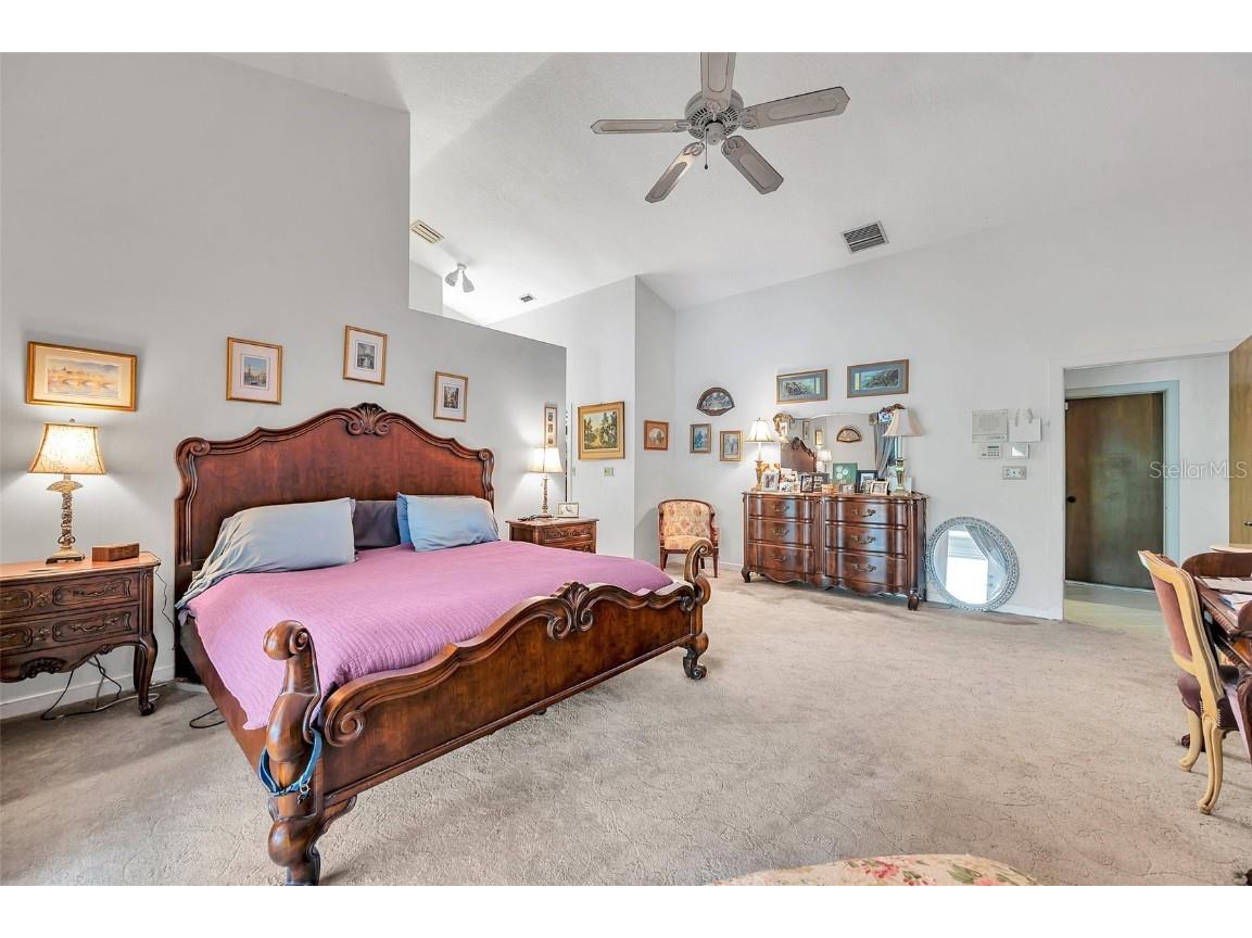 1008 Royal Birkdale Drive Tarpon Springs FL 34688 TB8353879 image64