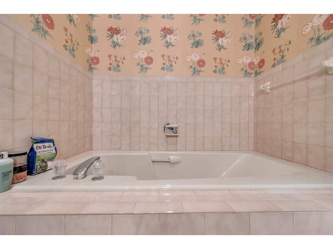 1008 Royal Birkdale Drive Tarpon Springs FL 34688 TB8353879 image70