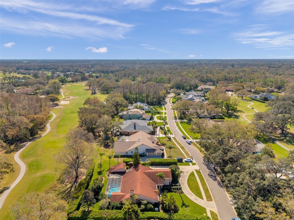 1008 Royal Birkdale Drive Tarpon Springs FL 34688 TB8353879 image88