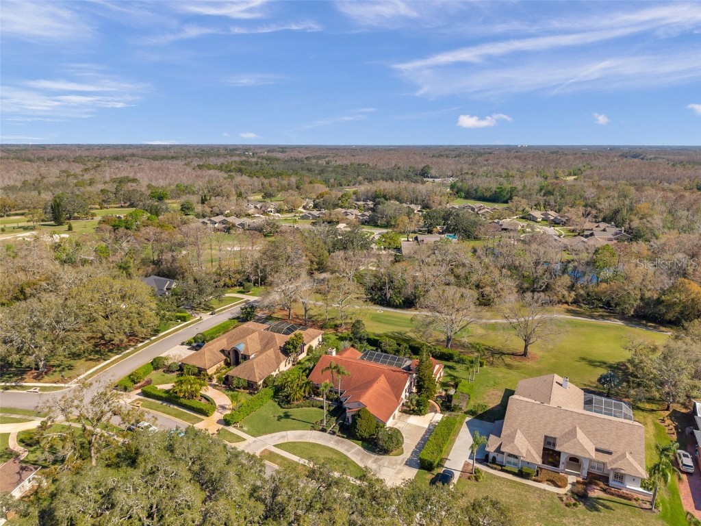 1008 Royal Birkdale Drive Tarpon Springs FL 34688 TB8353879 image91