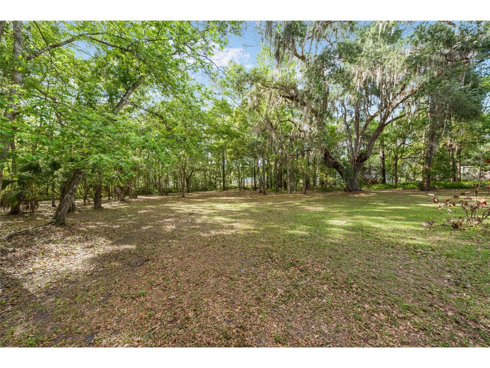 1008 S Mildred Avenue Brooksville FL 34601 OM721945 image35