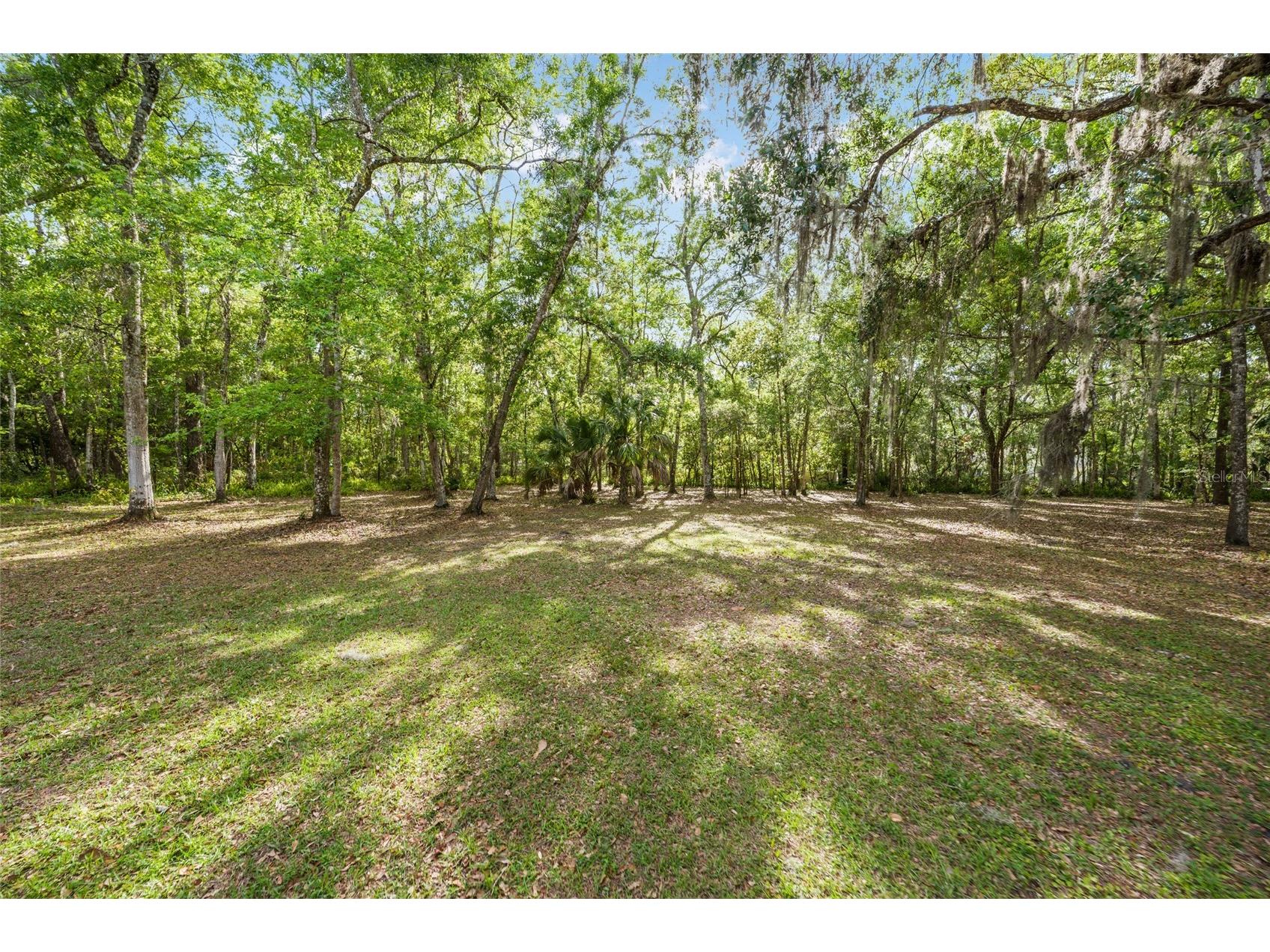 1008 S Mildred Avenue Brooksville FL 34601 OM721945 image36
