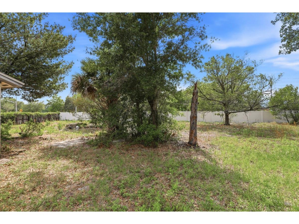 1008 Vigo Avenue Orlando FL 32822 A4692748 image4