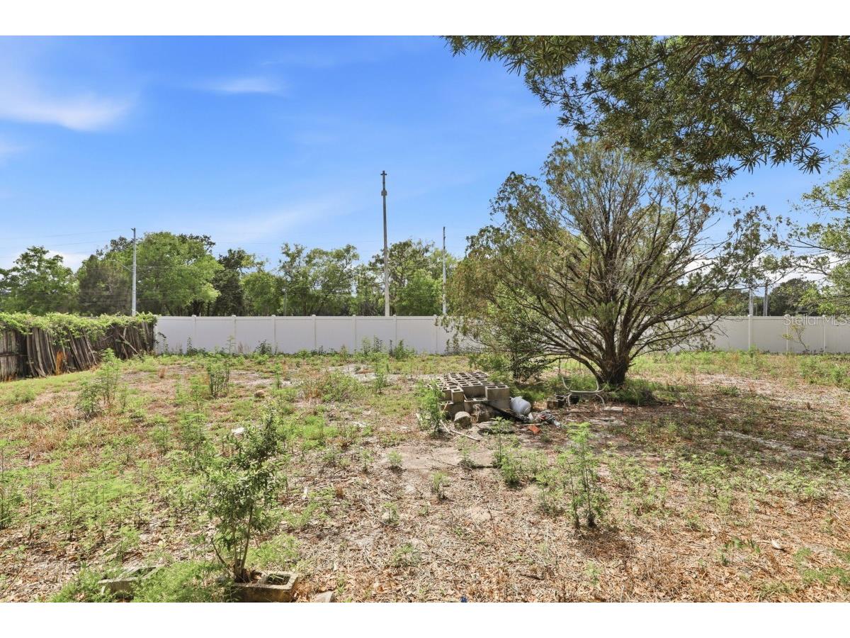 1008 Vigo Avenue Orlando FL 32822 A4692748 image5