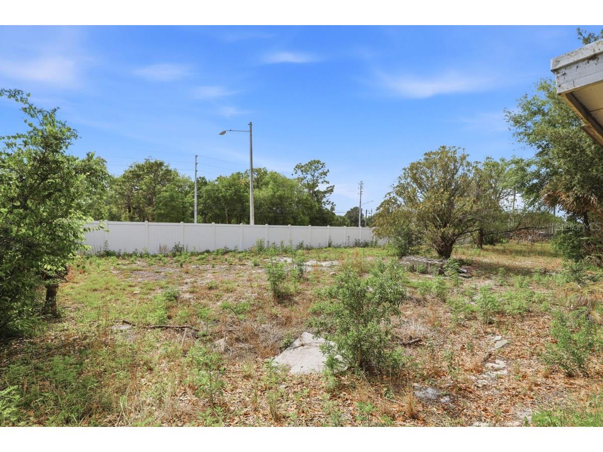 1008 Vigo Avenue Orlando FL 32822 A4692748 image7