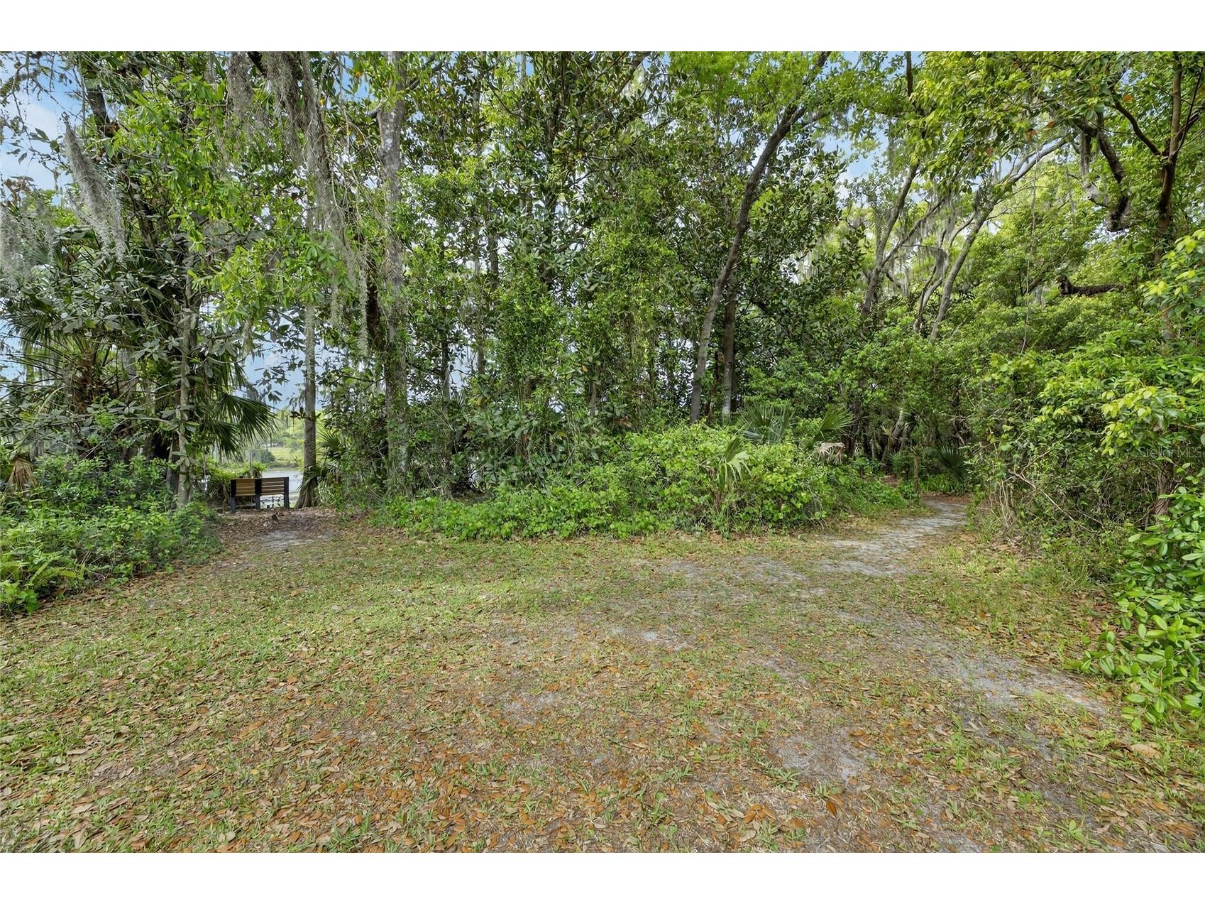1008 W River Drive Temple Terrace FL 33617 TB8492760 image54