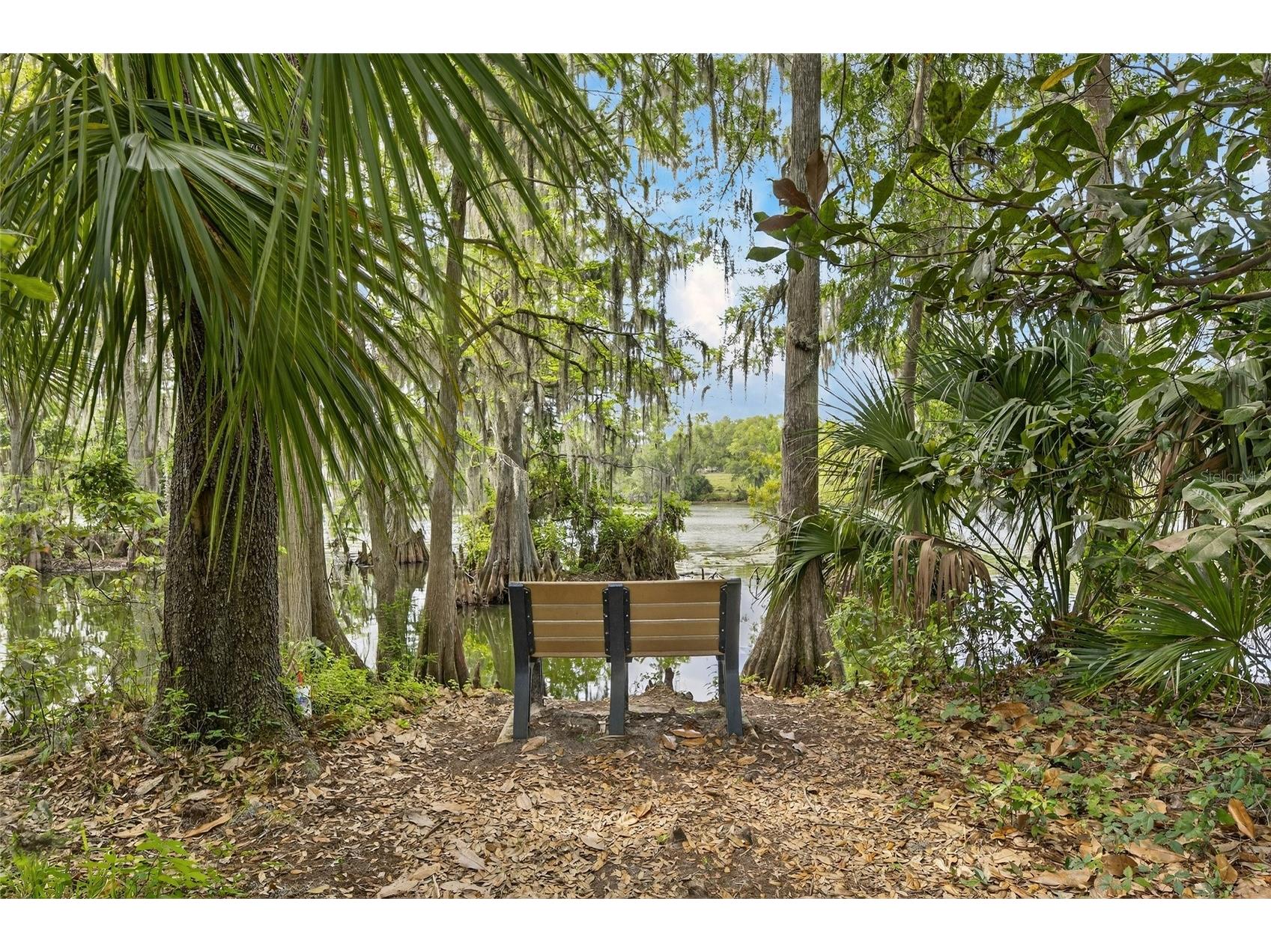 1008 W River Drive Temple Terrace FL 33617 TB8492760 image55