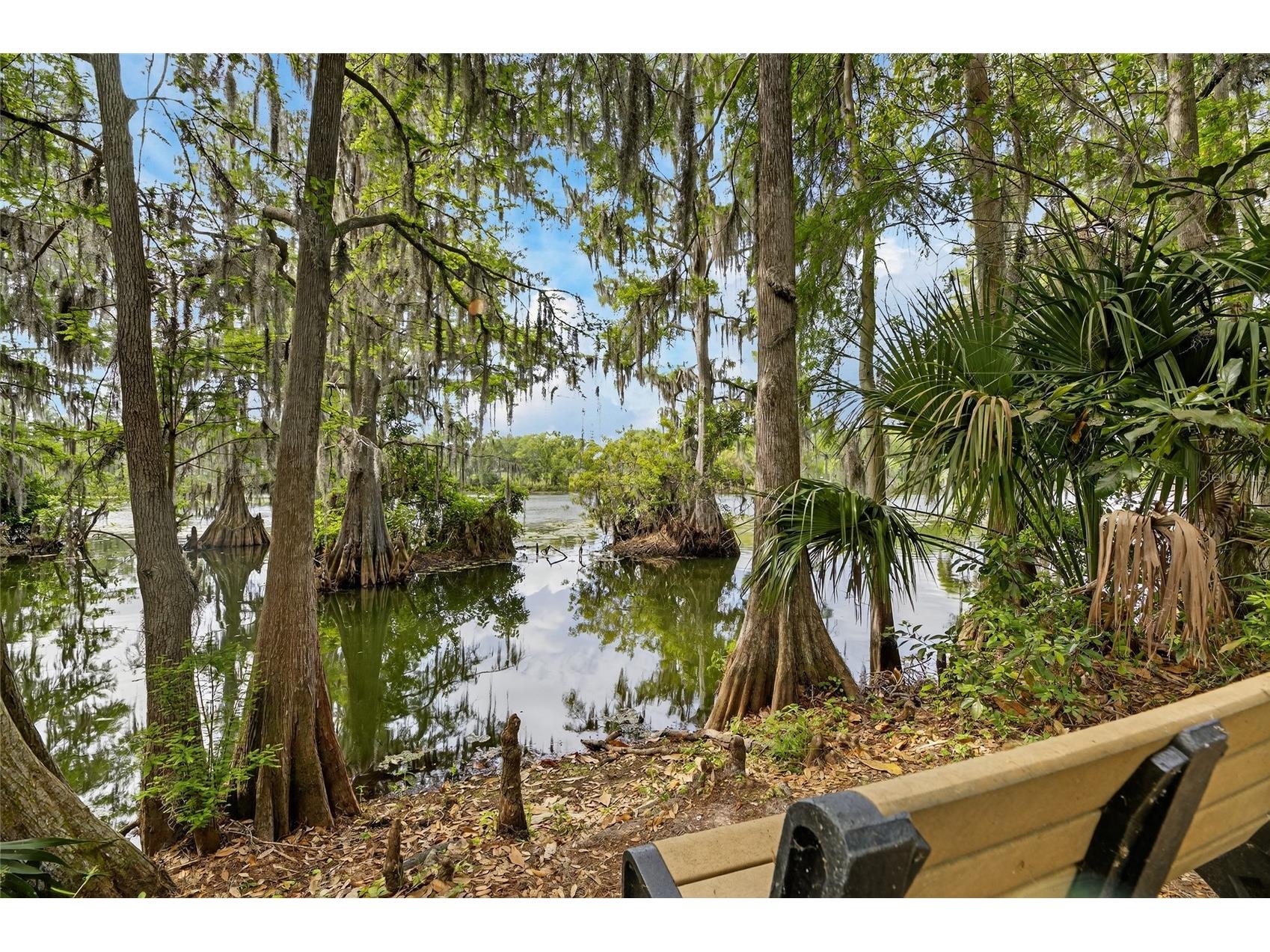 1008 W River Drive Temple Terrace FL 33617 TB8492760 image56